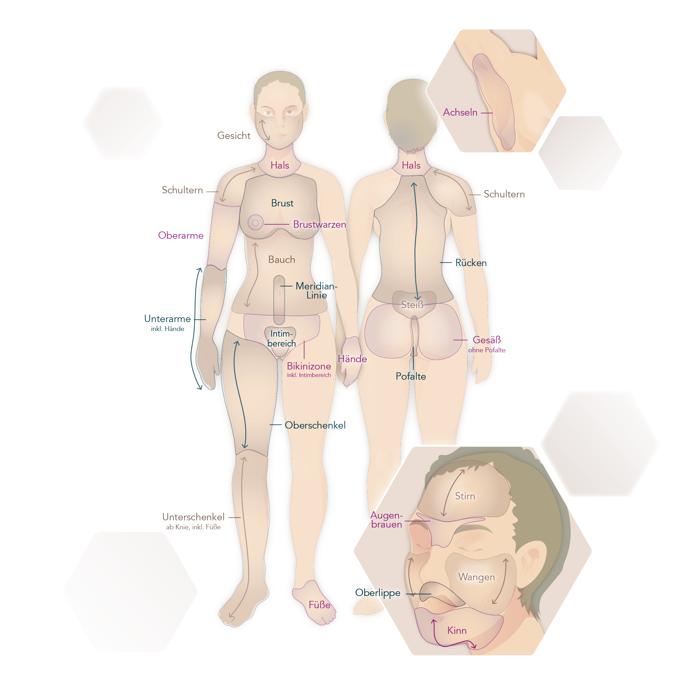 Illustration über die verschiedenen Körperregionen und Größen und daher unterschiedlichen Preisen für die Haarentfernung in Landau