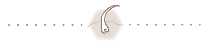 Trenner Haar Icon