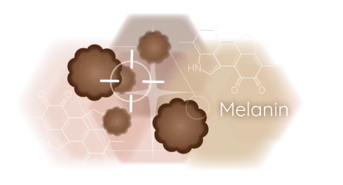 Illustration Melanin-Moleküle