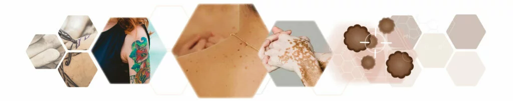 Wabenmuster Fotos und Grafiken Collage Thema Haut Melanisierung und Tattoos